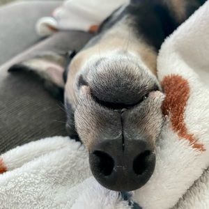 Meet your Posher, Glen